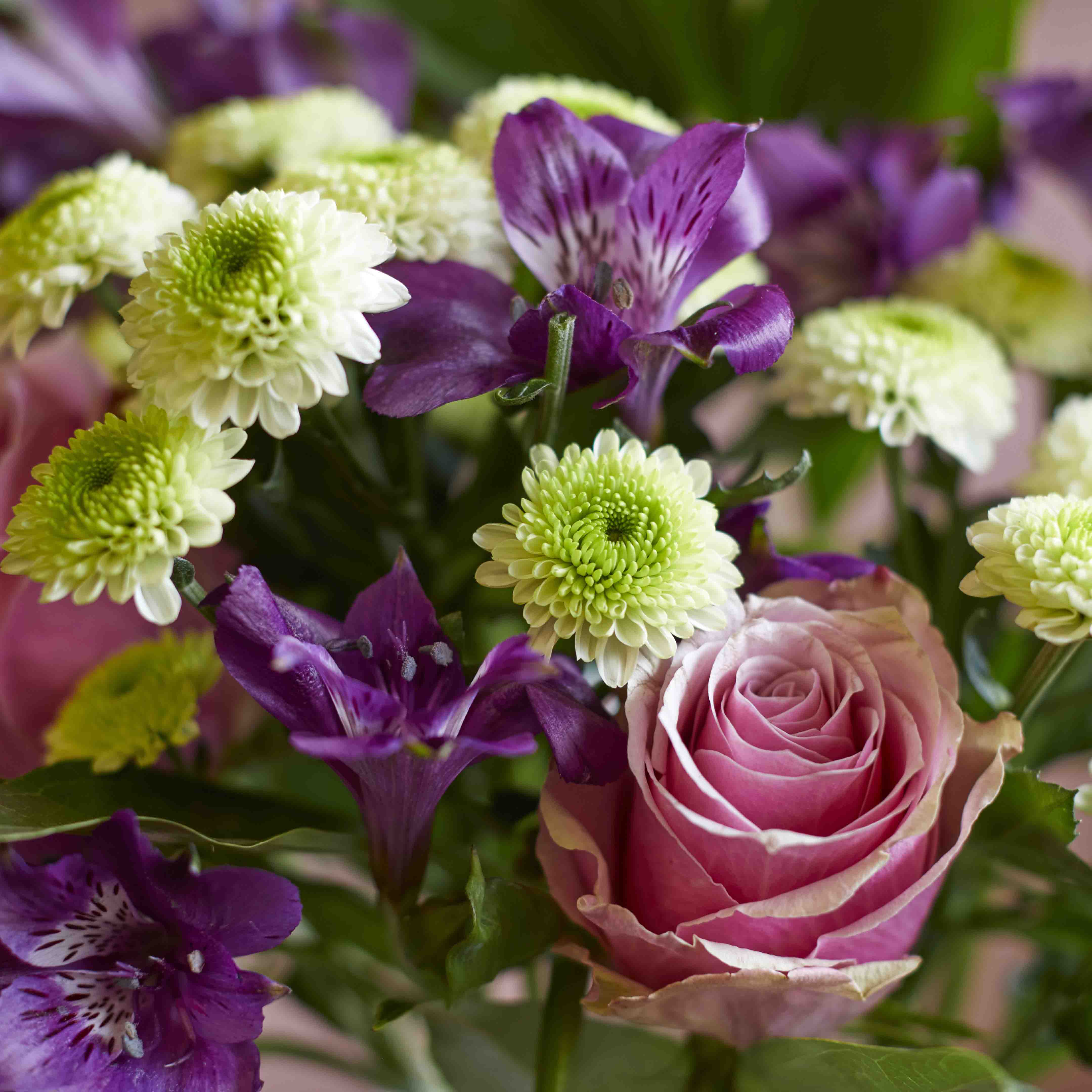 arrangement
