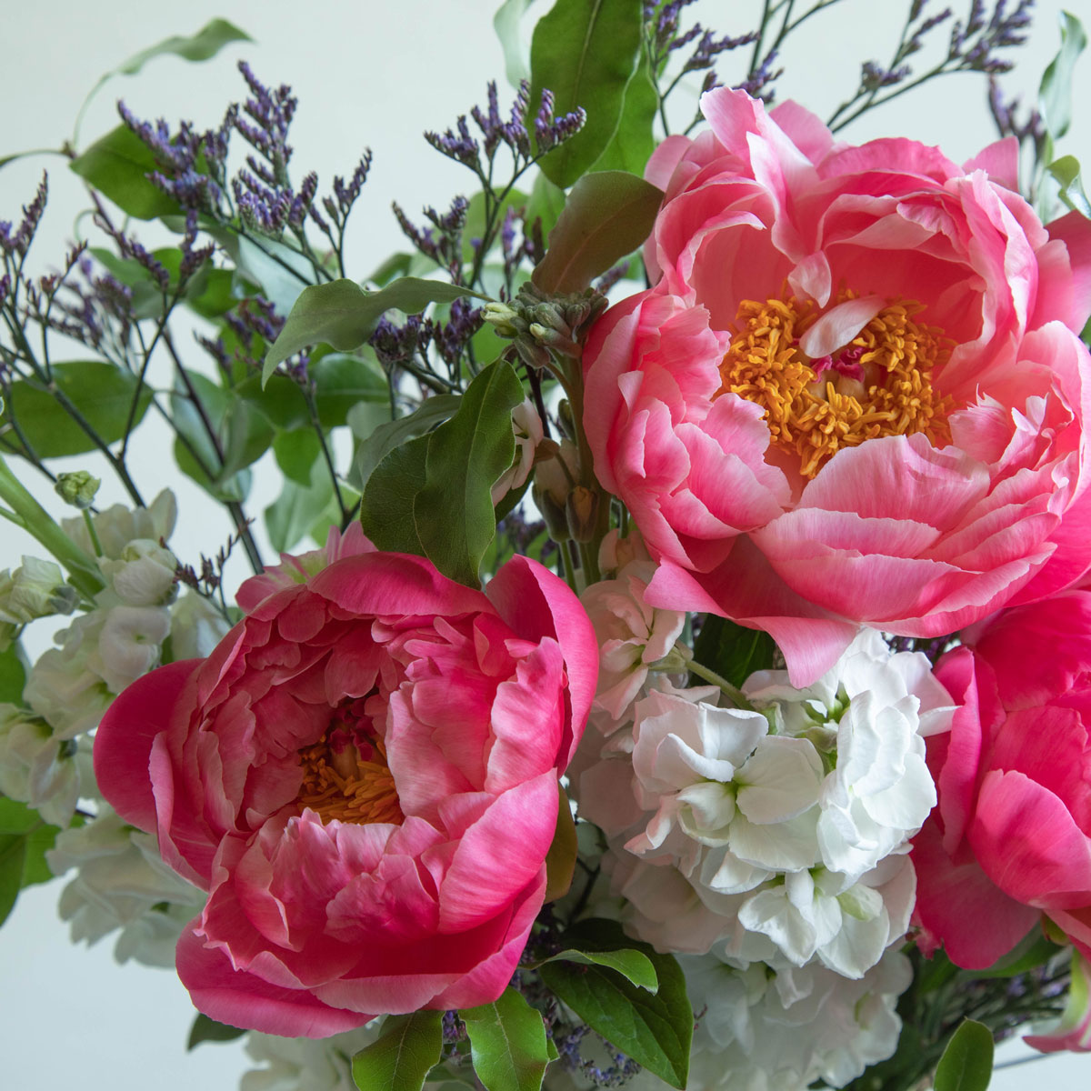 arrangement