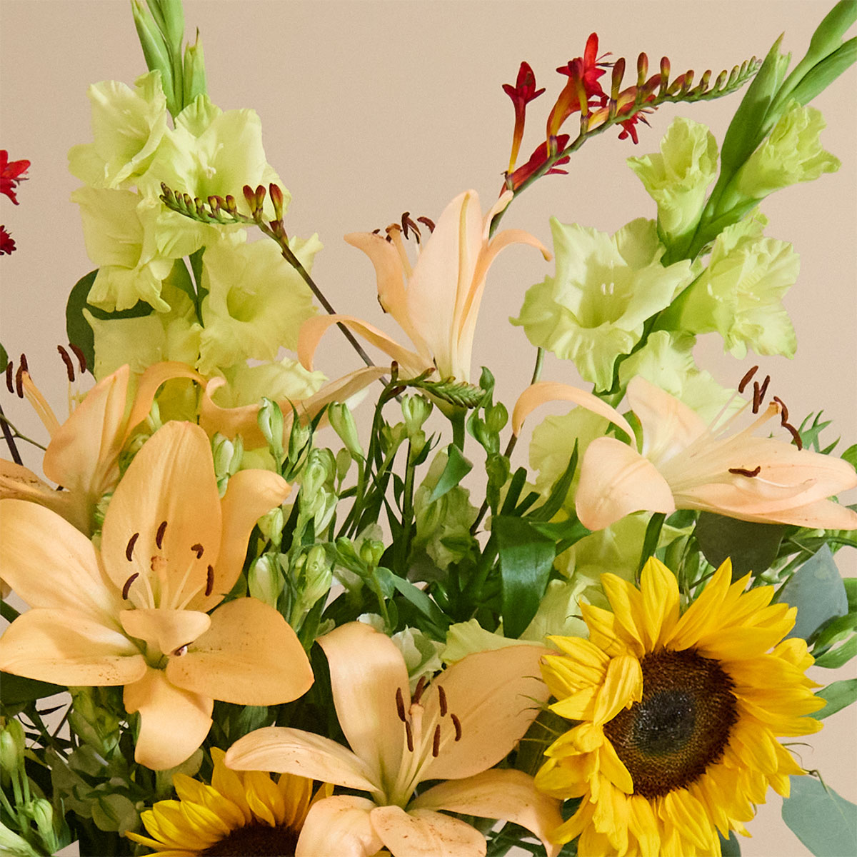 arrangement