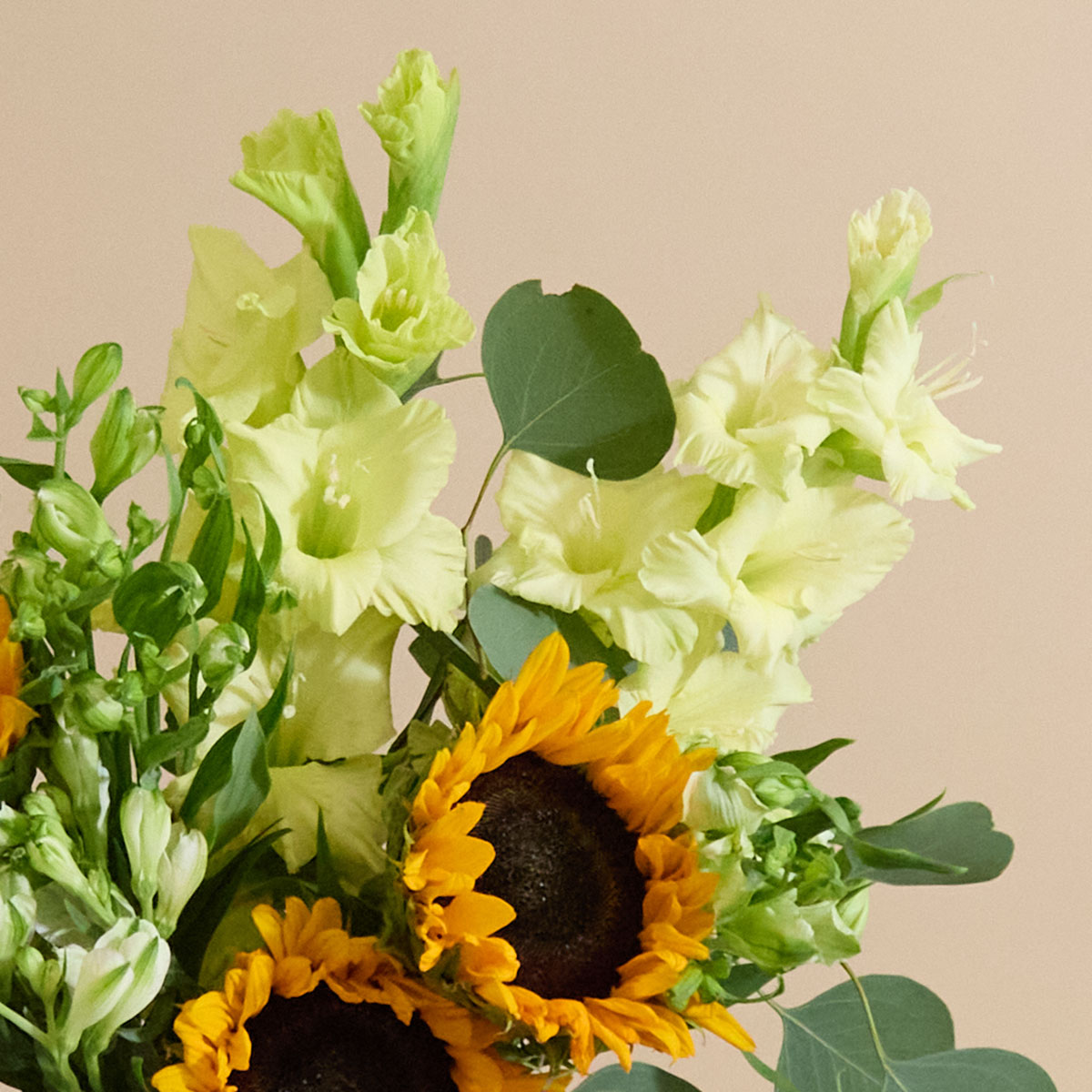 arrangement